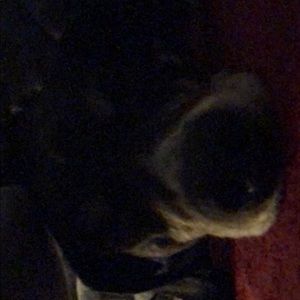 Meet your Posher, Stacey